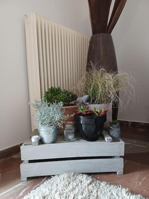 Apollo Apartment Athens/Airport Spáta Dış mekan fotoğraf